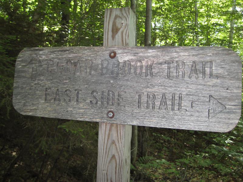 PemiTraverse (32).JPG - Another trail intersection. This one points to the last trail we'll use to get out of the woods.